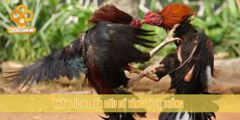 Phân tích trận đấu để tăng tỷ lệ thắng