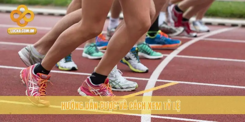 Hướng dẫn cược và cách xem tỷ lệ